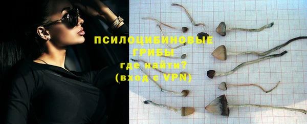 молекула духа Алексин